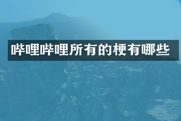 哔哩哔哩所有的梗有哪些