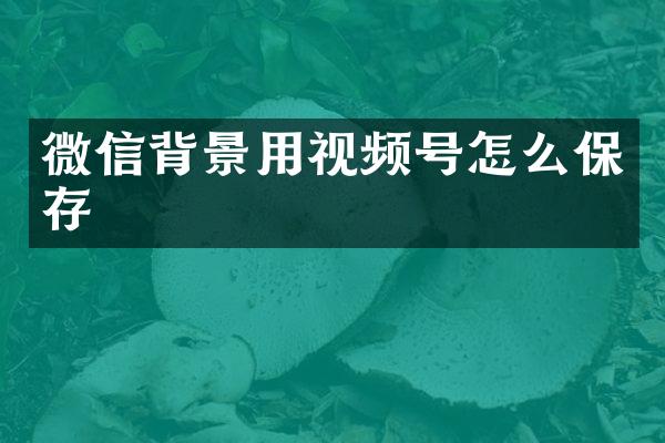 微信背景用视频号怎么保存