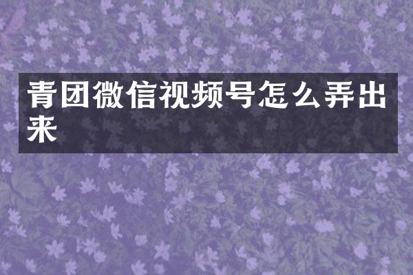 青团微信视频号怎么弄出来