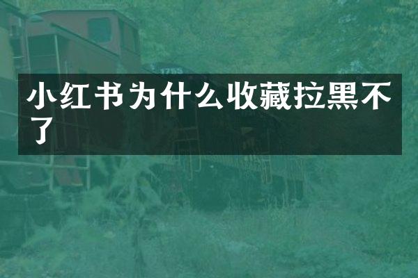 小红书为什么收藏拉黑不了