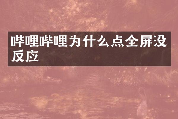 哔哩哔哩为什么点全屏没反应