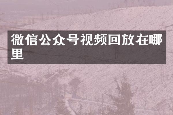 微信公众号视频回放在哪里