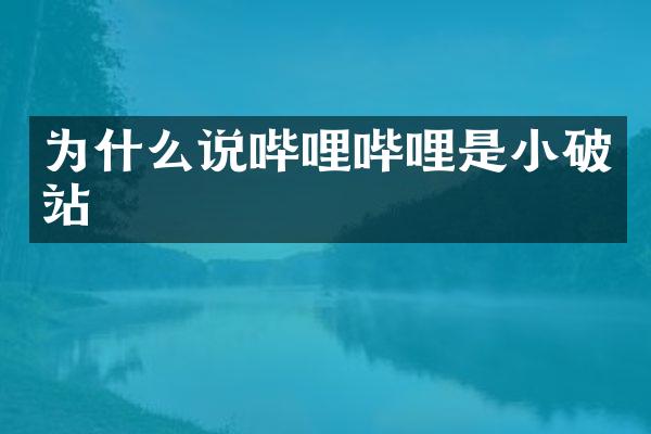 为什么说哔哩哔哩是小破站