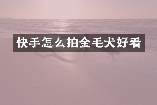 快手怎么拍金毛犬好看