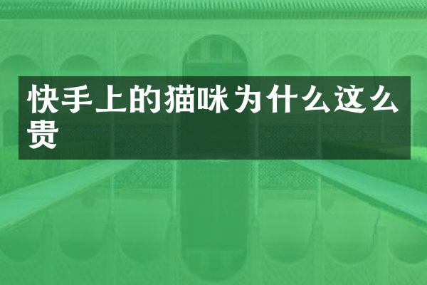 快手上的猫咪为什么这么贵