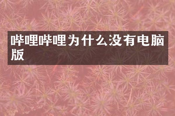 哔哩哔哩为什么没有电脑版