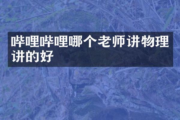 哔哩哔哩哪个老师讲物理讲的好