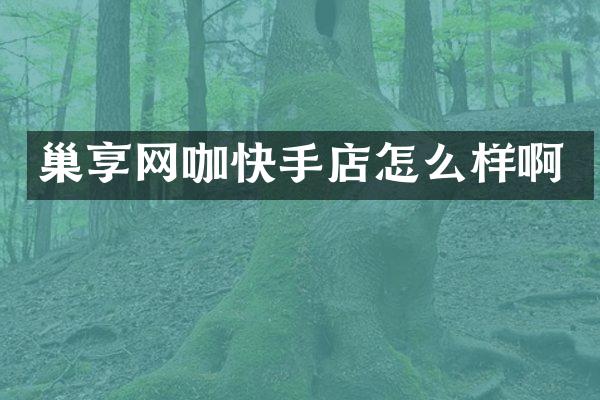 巢享网咖快手店怎么样啊