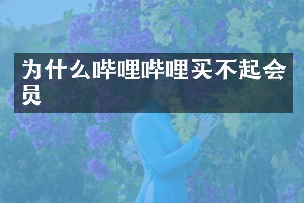 为什么哔哩哔哩买不起会员