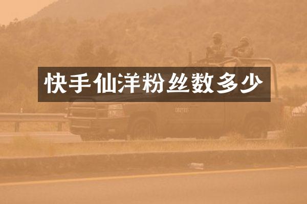 快手仙洋粉丝数多少