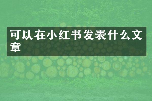 可以在小红书发表什么文章