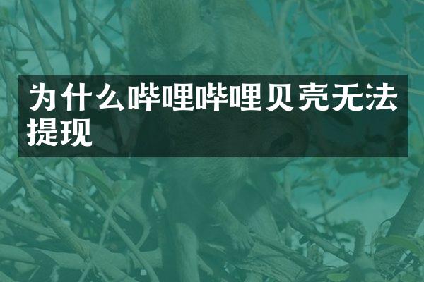 为什么哔哩哔哩贝壳无法提现