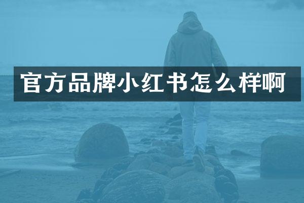 官方品牌小红书怎么样啊