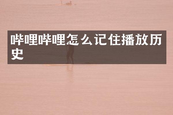 哔哩哔哩怎么记住播放历史