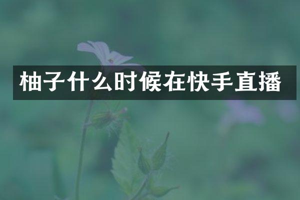 柚子什么时候在快手直播