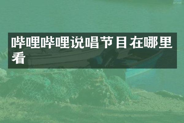 哔哩哔哩说唱节目在哪里看