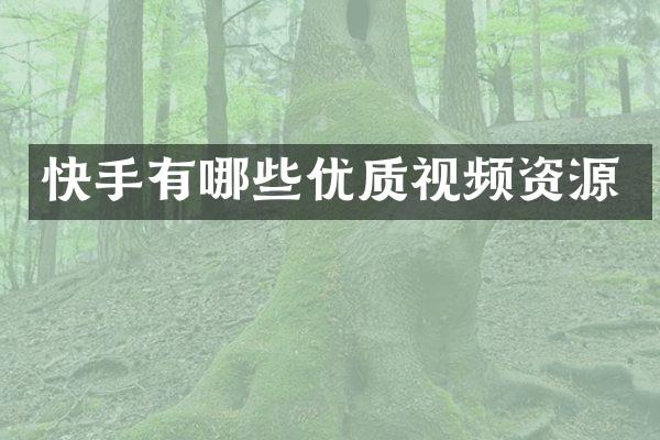 快手有哪些优质视频资源