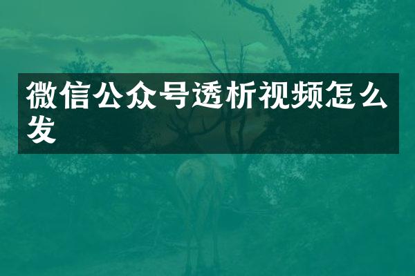微信公众号透析视频怎么发