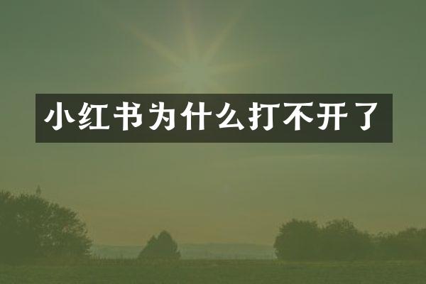 小红书为什么打不开了