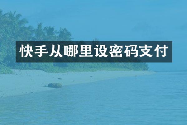 快手从哪里设密码支付