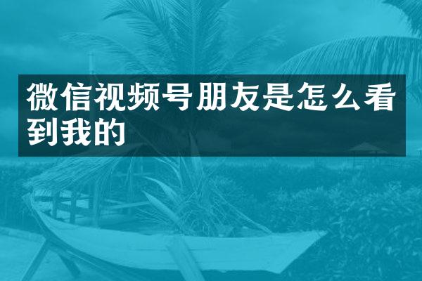 微信视频号朋友是怎么看到我的