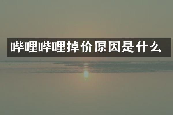 哔哩哔哩掉价原因是什么