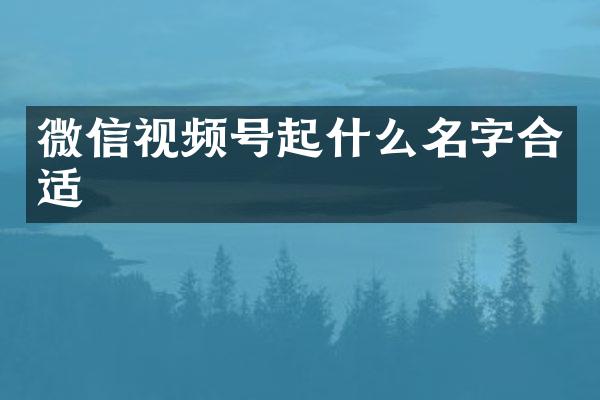 微信视频号起什么名字合适