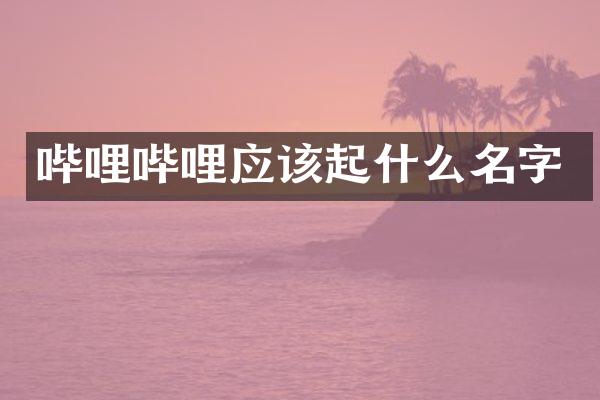 哔哩哔哩应该起什么名字