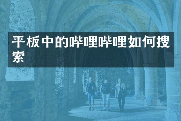 平板中的哔哩哔哩如何搜索