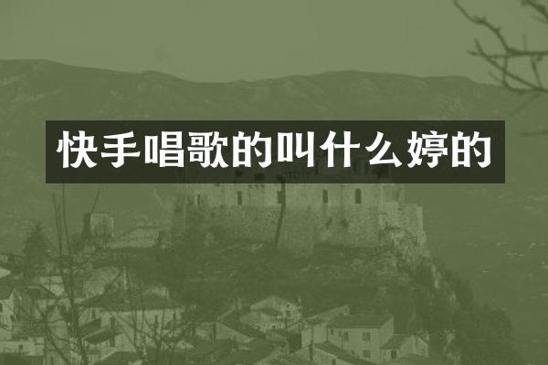 快手唱歌的叫什么婷的