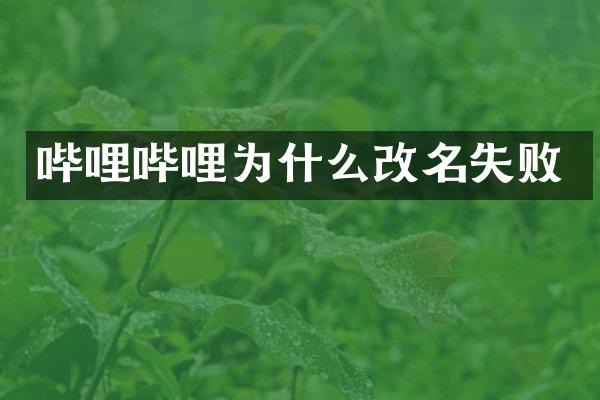 哔哩哔哩为什么改名失败