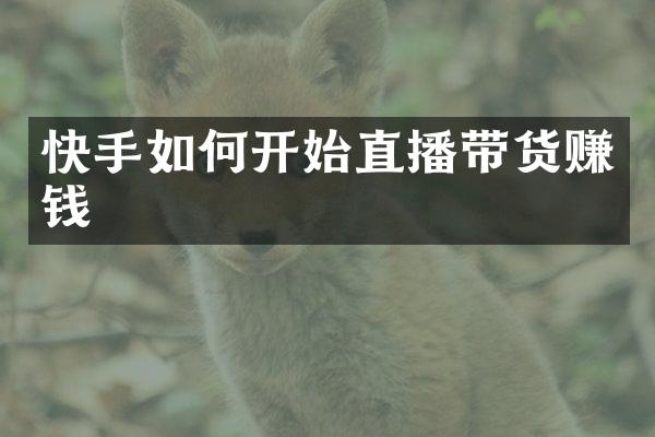 快手如何开始直播带货赚钱