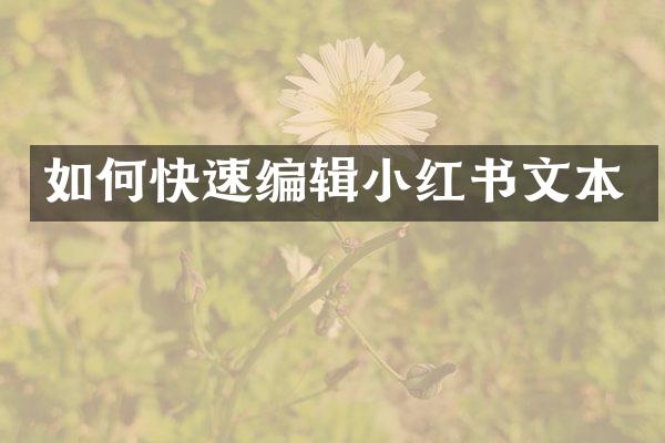 如何快速编辑小红书文本
