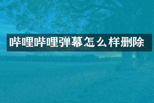 哔哩哔哩弹幕怎么样删除