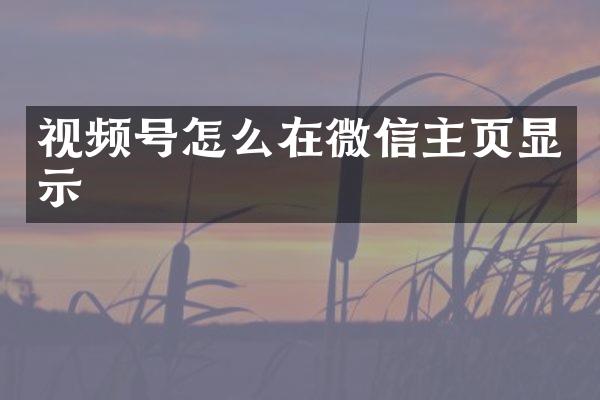 视频号怎么在微信主页显示