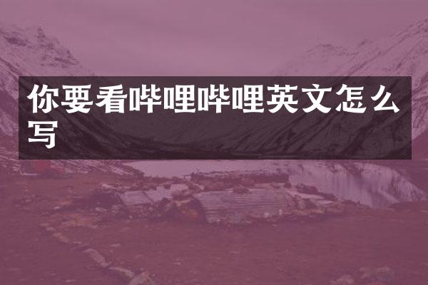 你要看哔哩哔哩英文怎么写