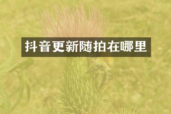 抖音更新随拍在哪里