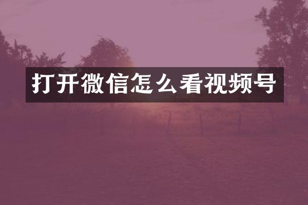 打开微信怎么看视频号