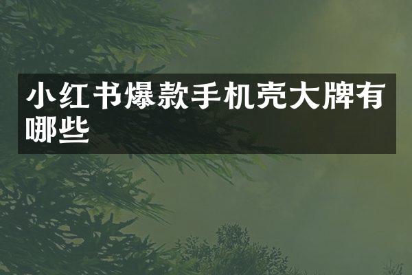 小红书爆款手机壳大牌有哪些