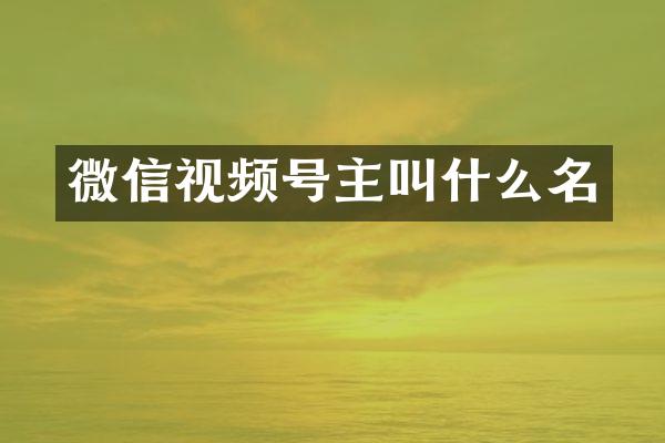 微信视频号主叫什么名