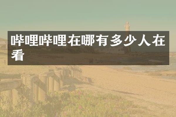 哔哩哔哩在哪有多少人在看