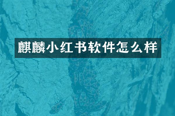 麒麟小红书软件怎么样