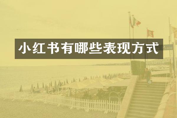 小红书有哪些表现方式