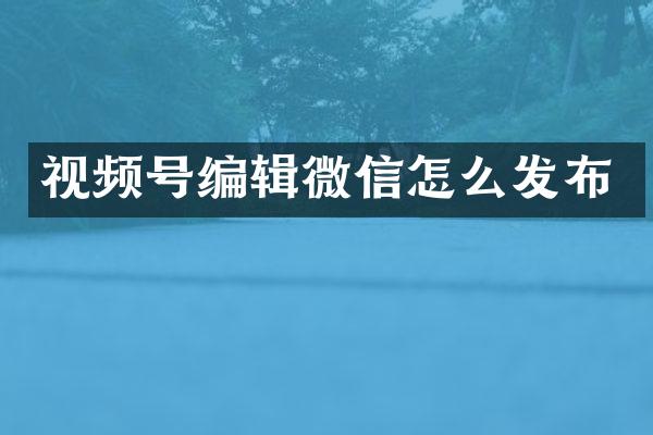 视频号编辑微信怎么发布