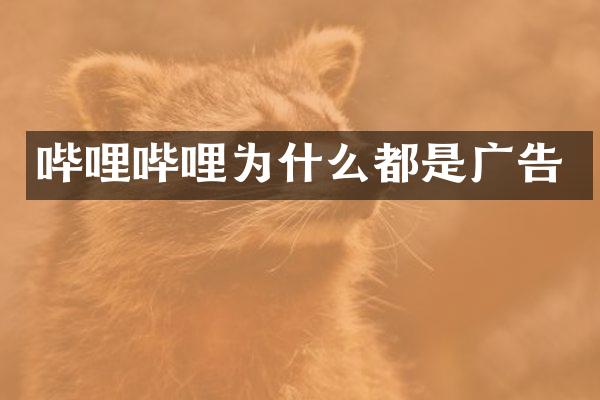 哔哩哔哩为什么都是广告