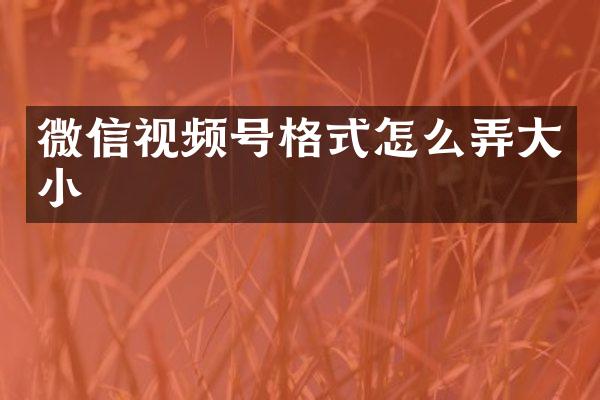 微信视频号格式怎么弄大小