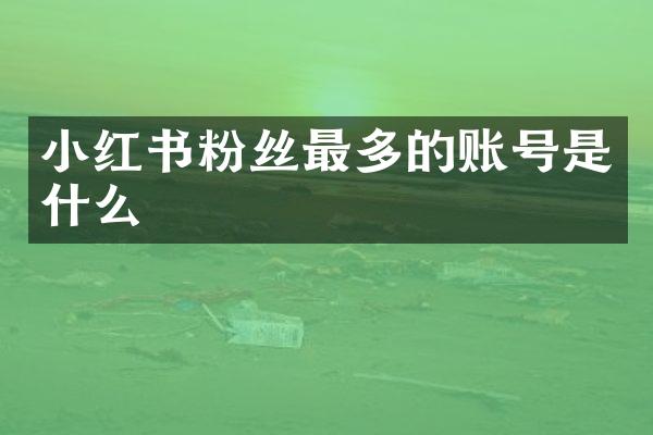 小红书粉丝最多的账号是什么