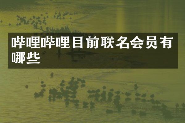 哔哩哔哩目前联名会员有哪些