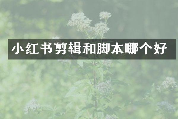 小红书剪辑和脚本哪个好