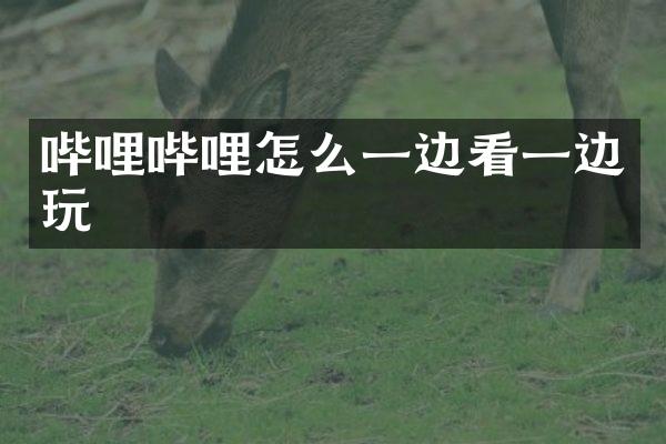 哔哩哔哩怎么一边看一边玩